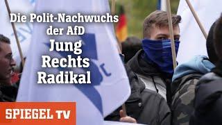 Jung rechts und radikal Die »Junge Alternative« der AfD  SPIEGEL TV