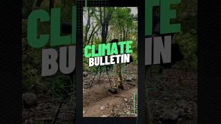 Climate Bulletin Series Announced #wildlife #climatechange #nature