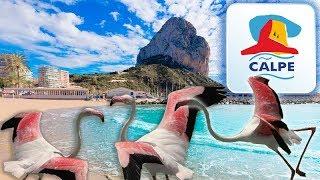  PINK FLAMINGO in CALPE Salt Lake Las Salinas. DRONE VIDEO. Beaches Food. Travel Vlog Spain