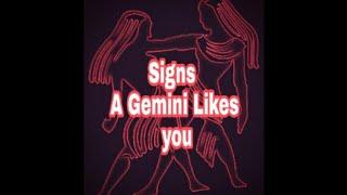 Signs a Gemini likes you