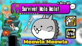 Getting Meowla Meowla in Battle Cats 