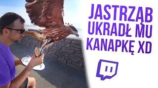 Najlepsze FUNNY MOMENTS ze streamów