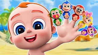 Five Little Monkeys  Funny Monkey   Animal Sounds Song  NEW More Nursery Rhymes & Baby Songs