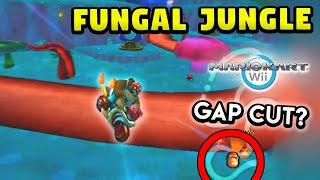 Mario Kart Wii Custom Track Troy vs Fungal Jungle