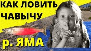 ЧАВЫЧА. ФАРМ КАК ЛОВИТЬ ЧАВЫЧУ р. ЯМА Секретный Способ  РУССКАЯ РЫБАЛКА 4  Russian Fishing 4  РР4