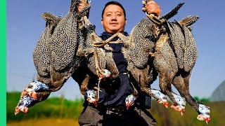 Exotic Birds TAKEOVER Wisconsin Cooking HMONG Style in the Midwest