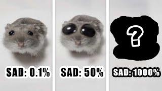 Sad Hamster Becomes More Sad