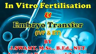 IN VITRO FERTILISATION IVF