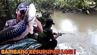 Ikan Toman Di Sini Memang Bikin Pemancing Lupa Daratan