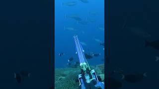 THE LAST SHOT MEL SPEARFISHING TV #spearfishingphilipines