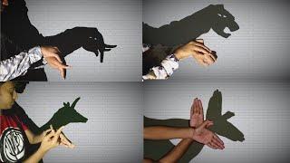 Hand Shadow Puppets A Spectacular Display of Creativity