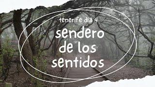 Sendero de los Sentidos Un Paseo Inolvidable en Conexión con la Naturaleza  Tenerife  Canarias