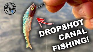 Dropshot Fishing for Canal Perch
