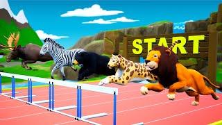 ANIMALS HURDLES RUNNING RACE  Animals Speed  Hurdle Racing  Animals Videos