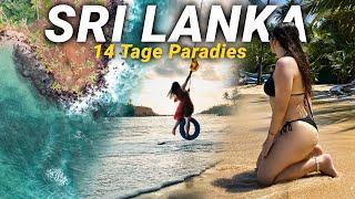 DEIN ULTIMATIVER SRI LANKA URLAUB in 2024 Sri Lanka Reiseroute 2 Wochen + Tipps