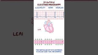 Clinical Cuts ECG Basics