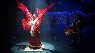 Apollo Theater Imagefilm 2013 - mit Flamenco La Cati & José Manuel #apollovariete #flamenco #dance