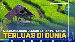 5 Besar Negara Dengan Lahan Pertanian Terluas di Dunia