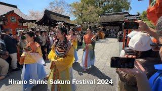 Kyoto 4K Sakura - #平野神社 #桜花祭 Hirano Shrine Sakura Festival April 10 2024 Hirano-jinja Oka-sai