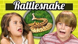 KIDS vs. FOOD - RATTLESNAKE