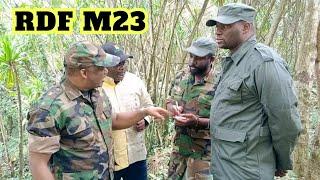 Actualités RDC Revers massif pour les rebelles RDF M23 de Kagame. Pertes récentes révélées