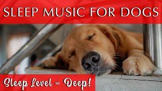 Music to Make Dogs Go to Sleep Fast  Sleep Level = DEEP