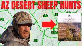 Arizona Desert Sheep Hunt  Draw Odds  Hunting Areas #muledeerhunting