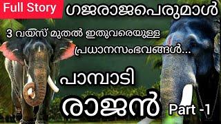 പാമ്പാടി രാജൻ - അറിയേണ്ടതെല്ലാം Full Story Pambady Rajan Story  Pambadi Rajan Story