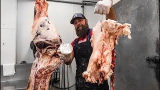 How to make Beef Tallow  The Bearded Butchers