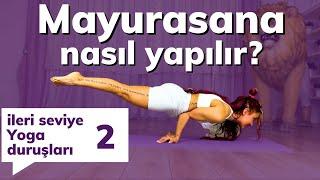 Mayurasana Nasıl Yapılır? ⎮ İleri Seviye Yoga Duruşları 2 ⎮ Nava Nur Tüzüner