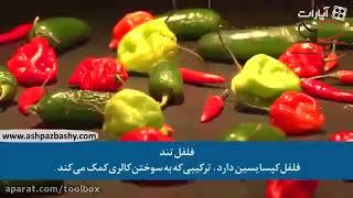 ۷ کدام مواد غذایی سوخت و ساز بدن را افزایش می دهند?