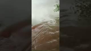 Karwar Rainy Season 2021 #Uttarkannada #karwar #rainyseason #karnataka #flood #heavyrain #kaliriver