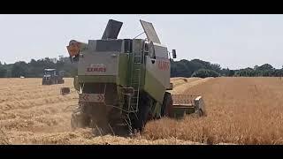 Barley Harvest 2024 Part 2