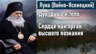 Сердце как орган высшего познания. Глава 2  Лука Войно-Ясенецкий. Дух душа и тело