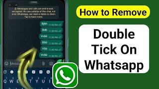 How to Remove Double Tick on Whatsapp 2024  WhatsApp No Double Tick
