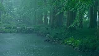 The beautiful little lake is raining166  sleep relax meditate study work ASMR