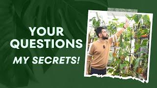  Plant Room Tour + 11 Questions Answered 