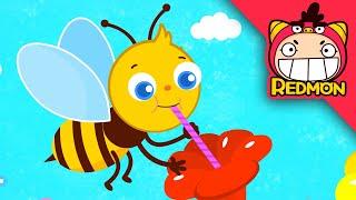 Honey bee song  Super songs  Nursery rhymes  Song of Bees  REDMON