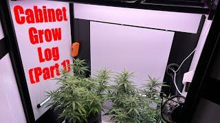 Clone to Harvest Medicinal Hemp Cabinet Grow Part 1