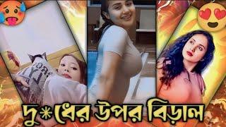 দু*ধের উপর বিড়াল   pom pom Bilai Tiktok video Roast   Intagram video rost  MR Vodro Chele