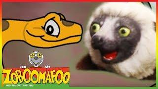 Zoboomafoo 201 - Colourful Snakes Full Episode