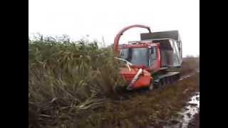 Pisten Bully harvesting reed operated by AB Systems UK Ltd Oct 13