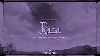 Raza Official Audio - Hardeep Grewal  EP Positive Vibes  R Guru  New Punjabi Songs 2023