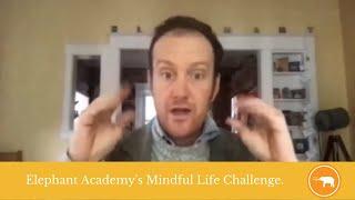 Why does Elephant Academy have a Mindful Life Challenge?