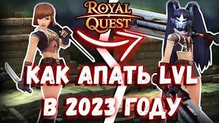 Royal Quest MMO RPG Из грязи в князи #3  Лучший способ прокачки в 2023 году