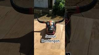 Jemur Bantengan