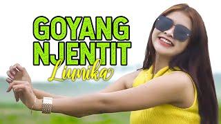 Minggir Awas Pliket  GOYANG NJENTIT - Liunika  Remix Version Official Music Video