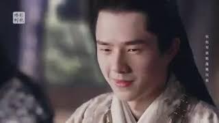 Liu Haoran FMV