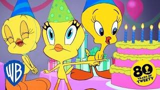 Looney Tunes  Happy Birthday Tweety  @WB Kids