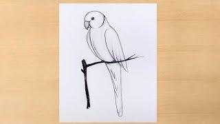 simple pencil shading pencildrawingparrot drawing